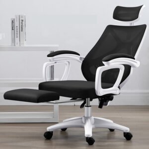 The Ergonomic Chair- ErgoLuxe Plus (Black/White)