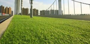 Artificial Grass (Grass Carpet) [Soft 2cm]