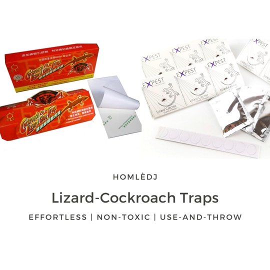 Lizard Trap (EXPEST) 