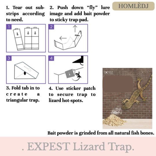 Lizard Trap! Store (@lizardtrapstore) / X